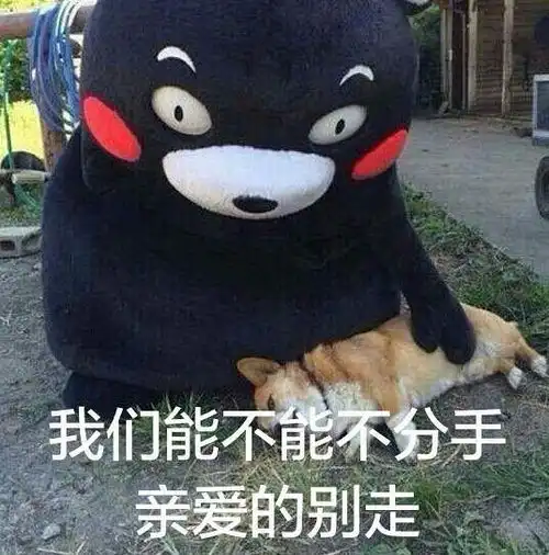  大老师迷妹来收图大老师歌词表情包