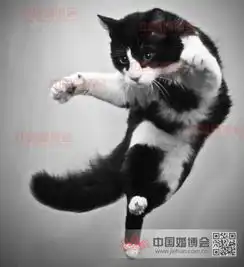  中秋节至,祝大家节日快乐