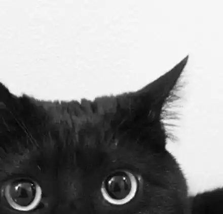  和几个九五妹子去唱k,发现她们唱的我连听都没听过...