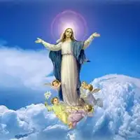  圣母婊头像图片