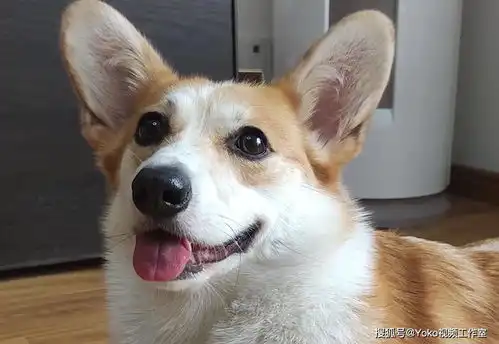  oppofindn特别值得的6个原因情人节最适合情侣的折叠屏手机