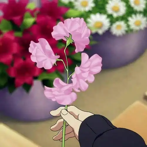  好看的朋友圈背景图