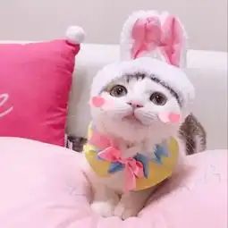  情侣头像始于心动终于白首