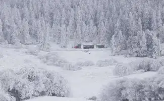 重庆人惜雪如金雪景中人像摄影7大技巧,get一下