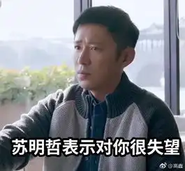  都挺好中苏家三个男人哪个最讨厌陪伴式啃老算孝顺吗