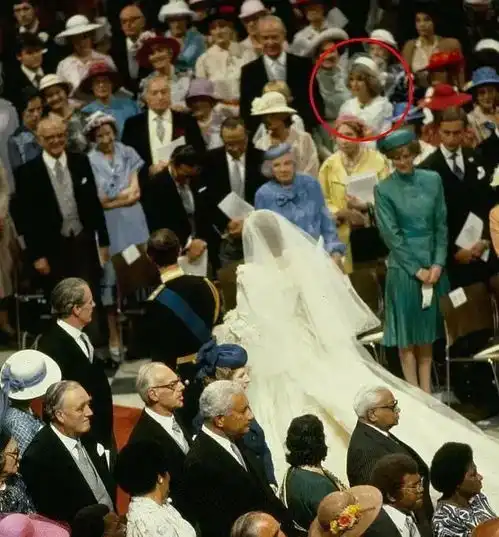  为回击卡米拉,戴安娜穿复仇黑裙本意秀身材,可查尔斯却中招染病