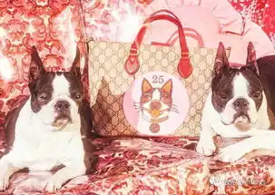 2018年,gucci的第一个爆款系列来了
