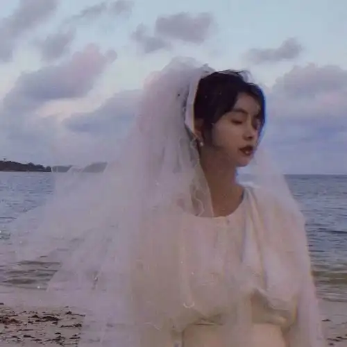  句子竹已偷偷藏不住句子摘抄第一弹