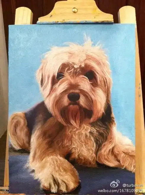  明星素描,唯美孙俪这么美的娘娘谁来抱走