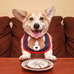  头像小小的脑袋装着大大的发财梦