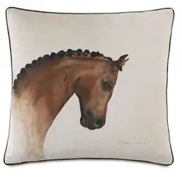  风呼吸速度马术之美