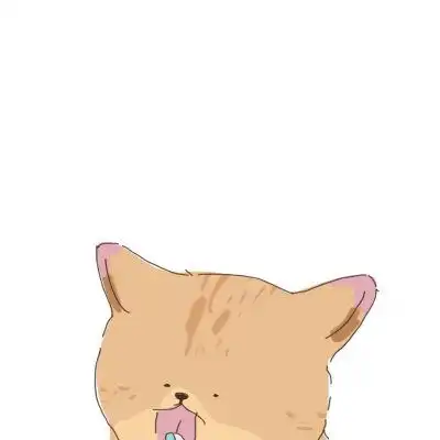  可爱的卡通猫咪头像宠物猫