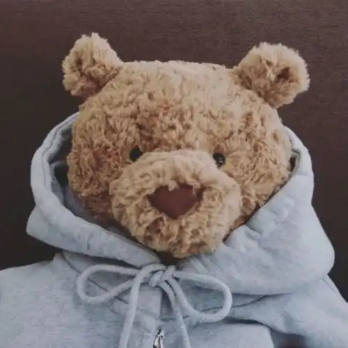  巴塞罗那熊搞怪沙雕头像