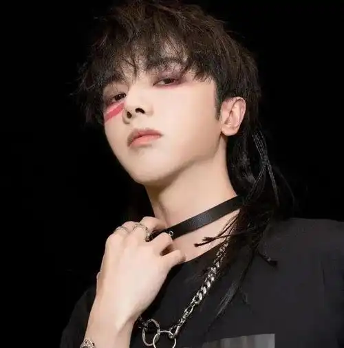  华晨宇因为突然承认自己跟张碧晨有一个孩子后,又被扒出家庭黑料