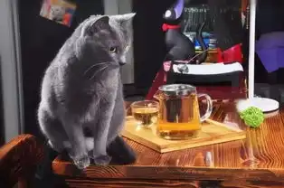  圣诞将至郑州最适合约会的6家情调咖啡馆