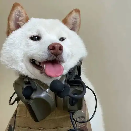  男生头像爱你并不需要你与众不同