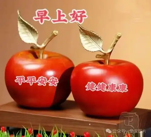  2024年6月20日周四早安图片祝福语,试着不为明天而烦恼,不为昨天而叹息,只为今天更美好周四早安周四早安如花快乐早上好清晨祝福语手机网易网