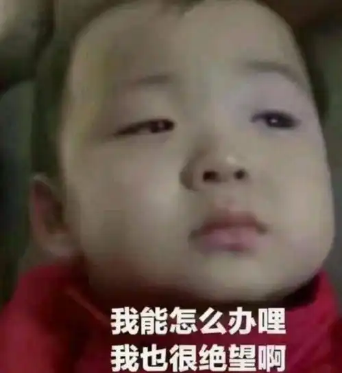  我养的不是狐狸,是青春......