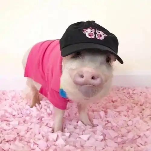  各种类型的闺蜜头像