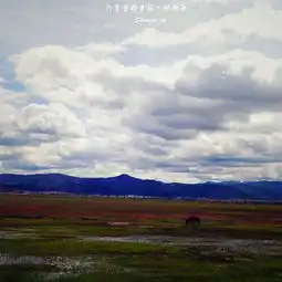  2020纳帕海门票,香格里拉纳帕海游玩攻略,纳帕海游览攻略路线地址门票价格