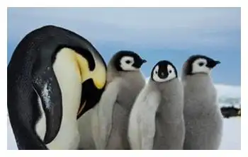  笑话同事凑过来说昨晚梦到你驾着七彩祥云来看我,我脸一红