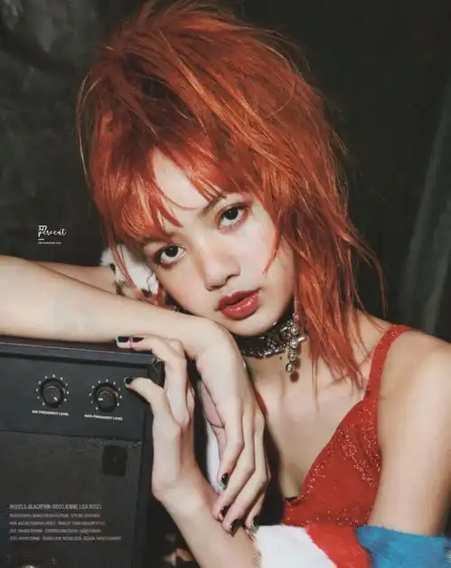  lisa交作业表情包壁纸头像