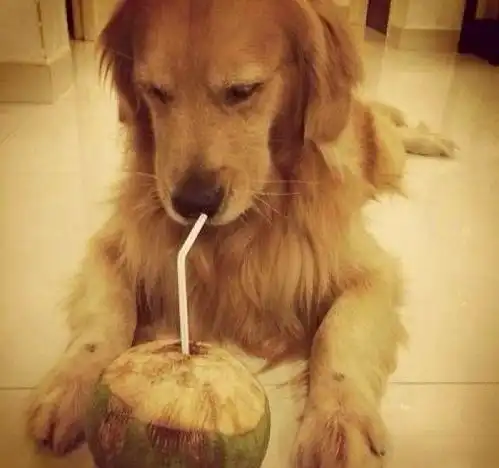  男人为了引起漂亮女同事的注意,故意到她面前咳嗽