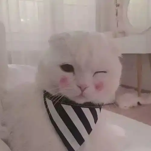 可爱沙雕头像
