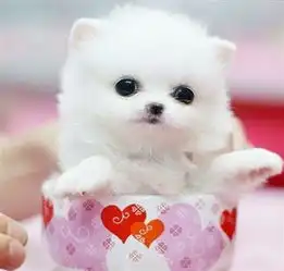  精选图片帖郑州论坛第2页