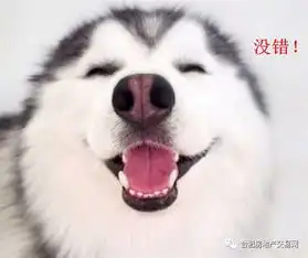 这个七夕你是在雨中漫步还是在家中独居在于有无情人,而是你是买房还是开房