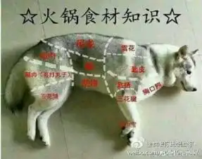 明天情人节你有没有转账的人轻松一刻2月13日晚间版