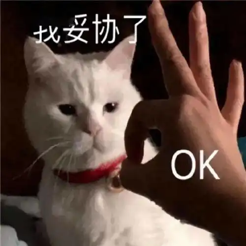  30分钟这条地铁线今起开放试乘有这六大亮点...