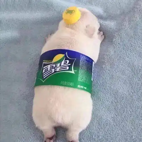  万豪双人海鲜自助餐双十一会员权益