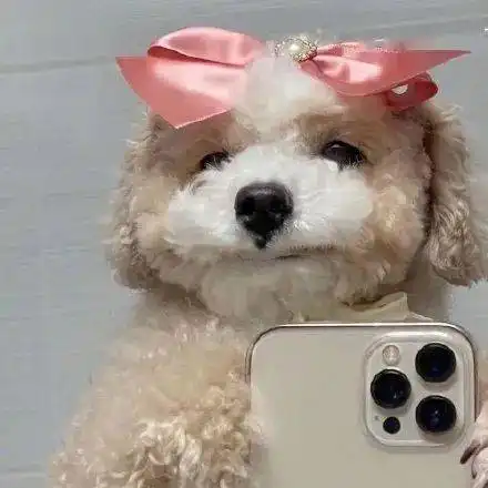  100张高能情侣头像,超甜超污单身慎点