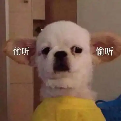 表情包脸皮一厚,征服宇宙