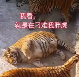  素食主义真的更加适合人体吗基因知道