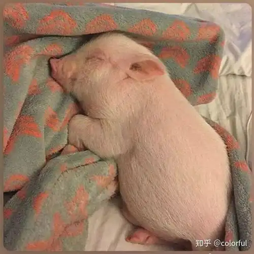  有什么是你去了温州大学才知道的