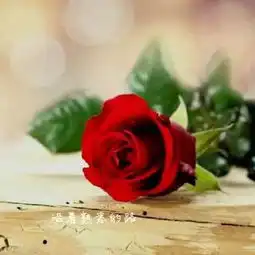  我手心里的宝贝的美拍