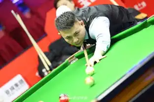  中式台球世锦赛付晓芳对刘莎莎