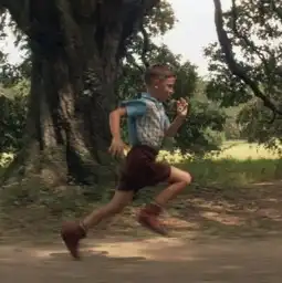  阿甘正传海报及宣传照