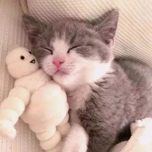  情侣头像你是甜的,也是我的速速收藏