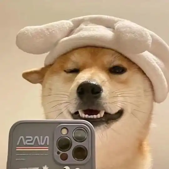  张易困的相册以后就可以随心所欲换头像了