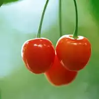  头像水果菠萝微信头像图片大全