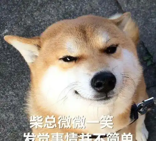  话题表情包,哄生气的闺蜜,搞笑委屈斗图表情不能少