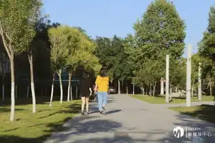  毕业如约而至,这10件事你完成了吗