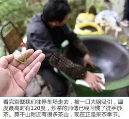 闺蜜二人沪杭48小时游探秘百年西洋别墅群