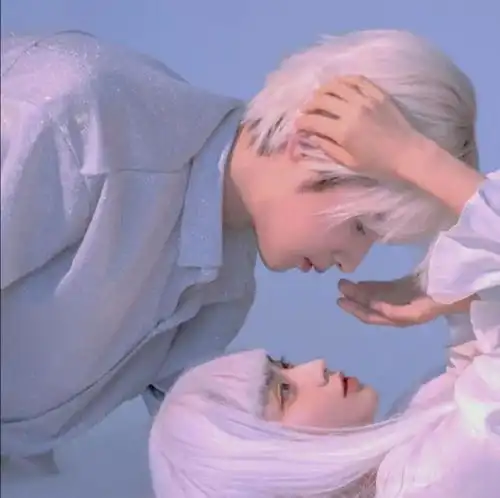  你已经被小猪逮捕