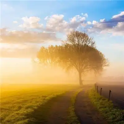  og视讯app下载中国官方版ios安卓通用版手机app下载