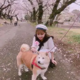  好看的小清新女生头像阳光微笑美女头像