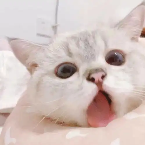 个性微信头像,独一无二